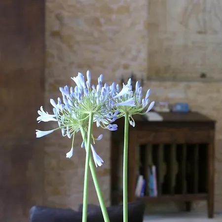 La Bastide Bed & Breakfast